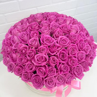 XXL box of 101 pink roses