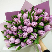 Bouquet of 45 peony tulips, Double price variety