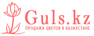 Шардара